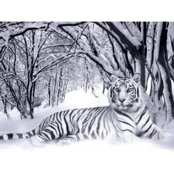 نخ و نقشه تابلو فرش حیوانات کد 1