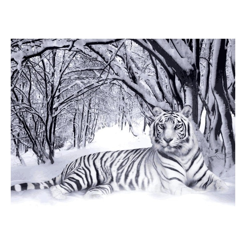 نخ و نقشه تابلو فرش حیوانات کد 1