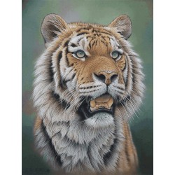 نخ و نقشه تابلو فرش حیوانات کد 2