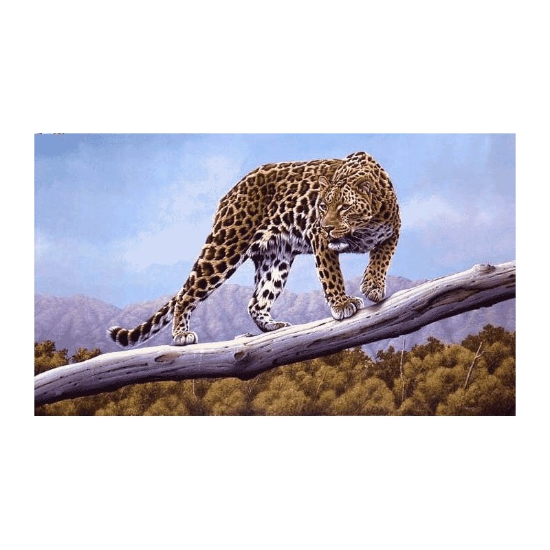 نخ و نقشه تابلو فرش حیوانات کد 4