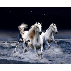 نخ و نقشه تابلو فرش حیوانات کد 5