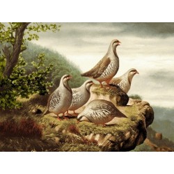 نخ و نقشه تابلو فرش حیوانات کد 8