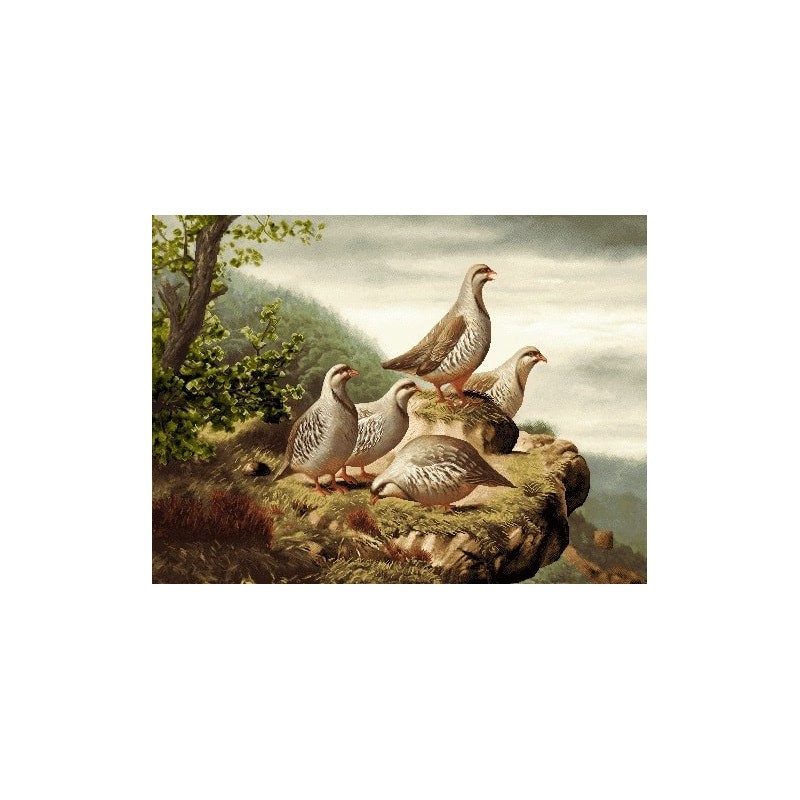 نخ و نقشه تابلو فرش حیوانات کد 8