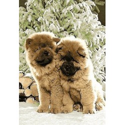 نخ و نقشه تابلو فرش حیوانات کد 11