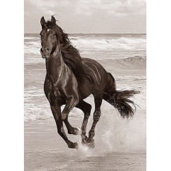 نخ و نقشه تابلو فرش حیوانات کد 12