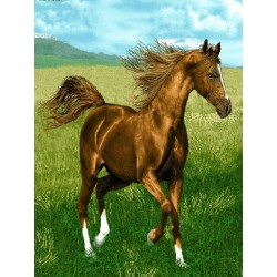 نخ و نقشه تابلو فرش حیوانات کد 13