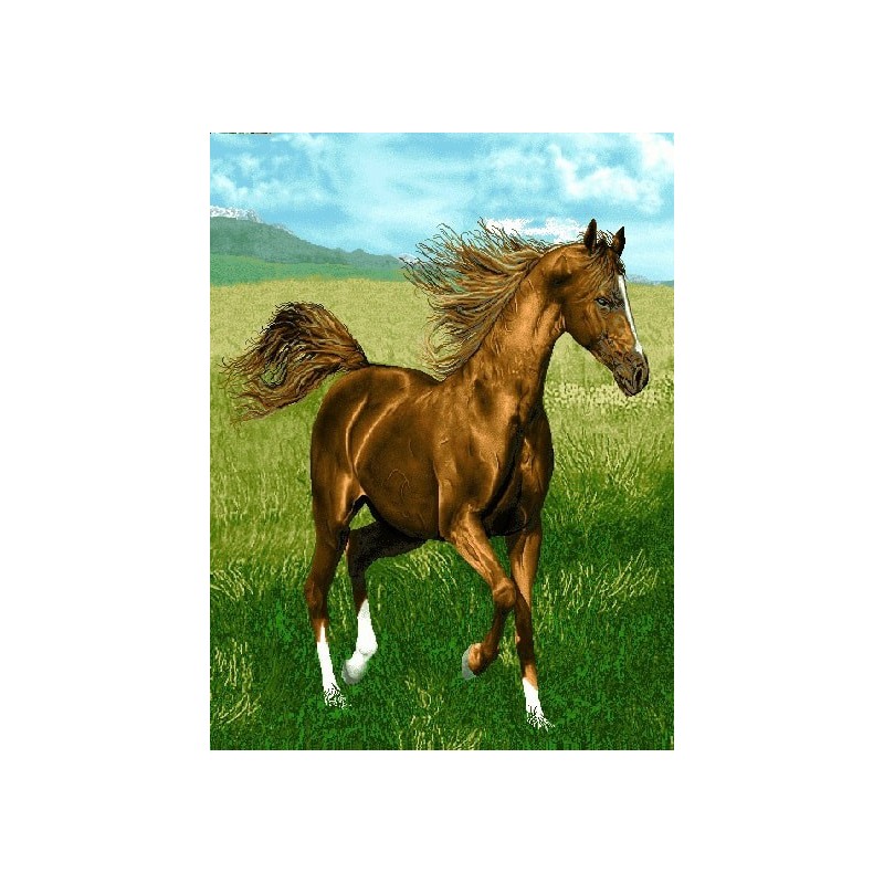 نخ و نقشه تابلو فرش حیوانات کد 13