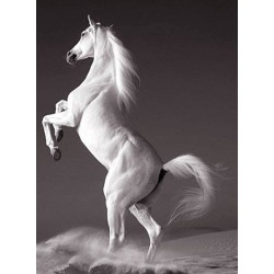 نخ و نقشه تابلو فرش حیوانات کد 14