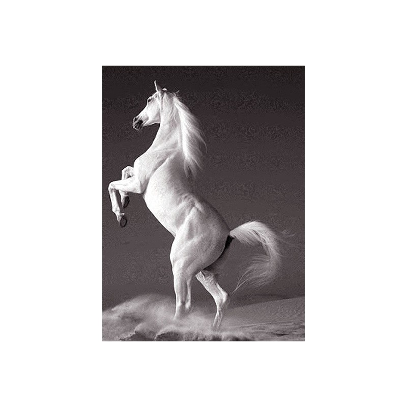 نخ و نقشه تابلو فرش حیوانات کد 14