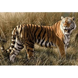 نخ و نقشه تابلو فرش حیوانات کد 15