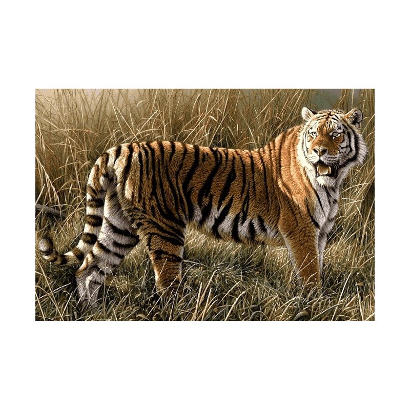 نخ و نقشه تابلو فرش حیوانات کد 15