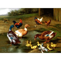 نخ و نقشه تابلو فرش حیوانات کد 16