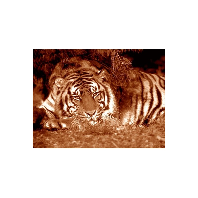 نخ و نقشه تابلو فرش حیوانات کد 20