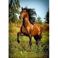 نخ و نقشه تابلو فرش حیوانات کد 21