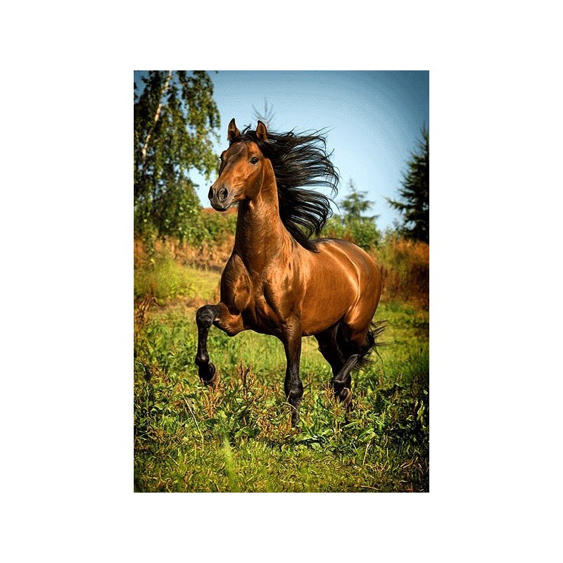 نخ و نقشه تابلو فرش حیوانات کد 21