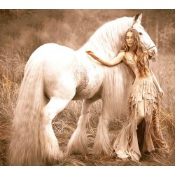 نخ و نقشه تابلو فرش فرانسوی کد 161