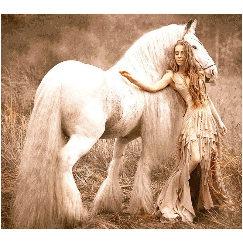 نخ و نقشه تابلو فرش فرانسوی کد 161