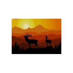 نخ و نقشه آموزشی تابلو فرش کد 5