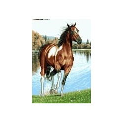 نخ و نقشه آموزشی تابلو فرش کد 8