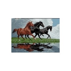 نخ و نقشه آموزشی تابلو فرش کد 11