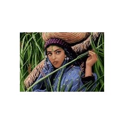 نخ و نقشه آموزشی تابلو فرش کد 30