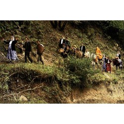 نخ و نقشه تابلو فرش ایرانی کد 83