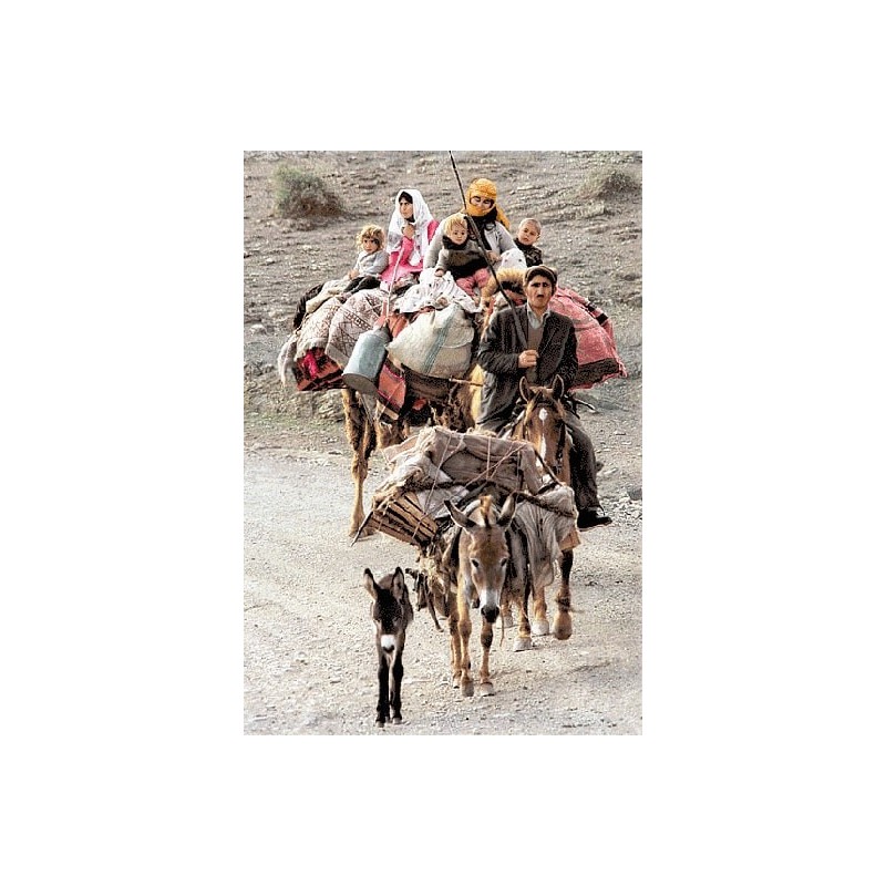 نخ و نقشه تابلو فرش ایرانی کد 87