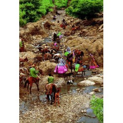 نخ و نقشه تابلو فرش ایرانی کد 88