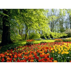 نخ و نقشه تابلو فرش طبیعت کد 93