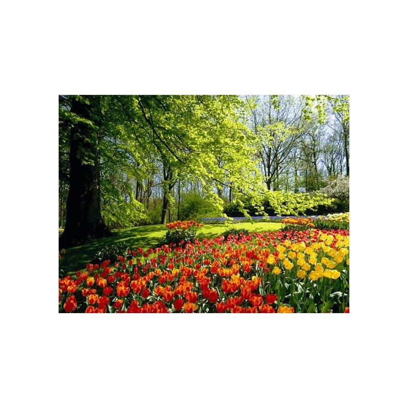 نخ و نقشه تابلو فرش طبیعت کد 93