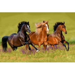 نخ و نقشه تابلو فرش حیوانات کد 27