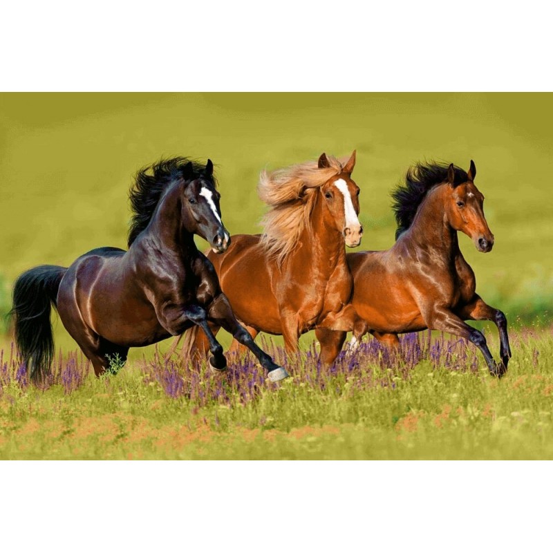 نخ و نقشه تابلو فرش حیوانات کد 27