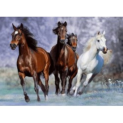 نخ و نقشه تابلو فرش حیوانات کد 32