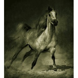 نخ و نقشه تابلو فرش حیوانات کد 35