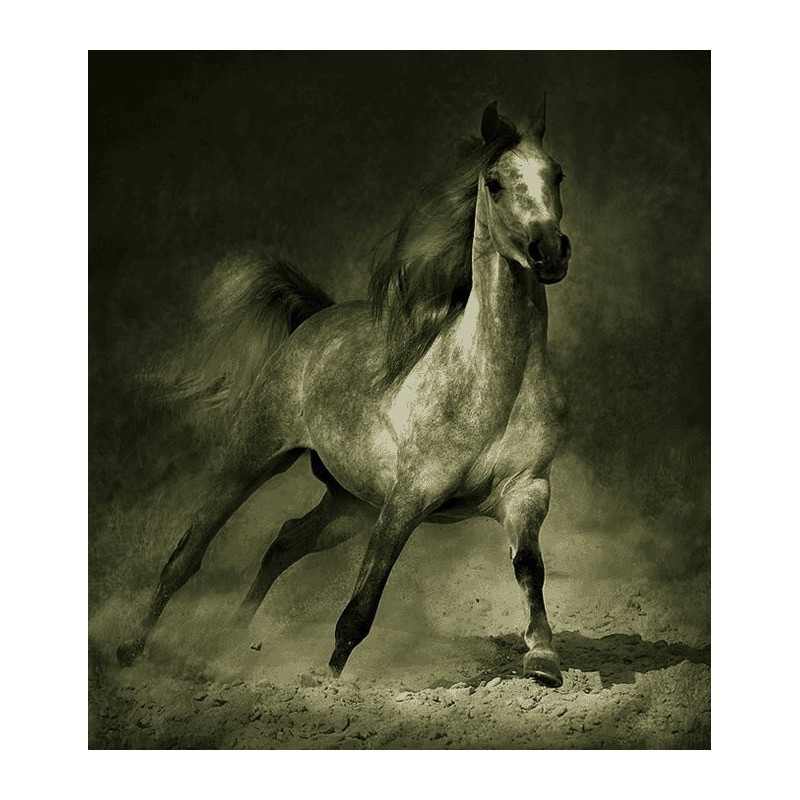 نخ و نقشه تابلو فرش حیوانات کد 35