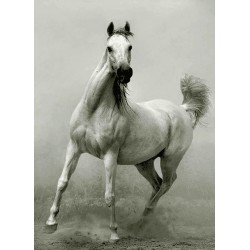 نخ و نقشه تابلو فرش حیوانات کد 37