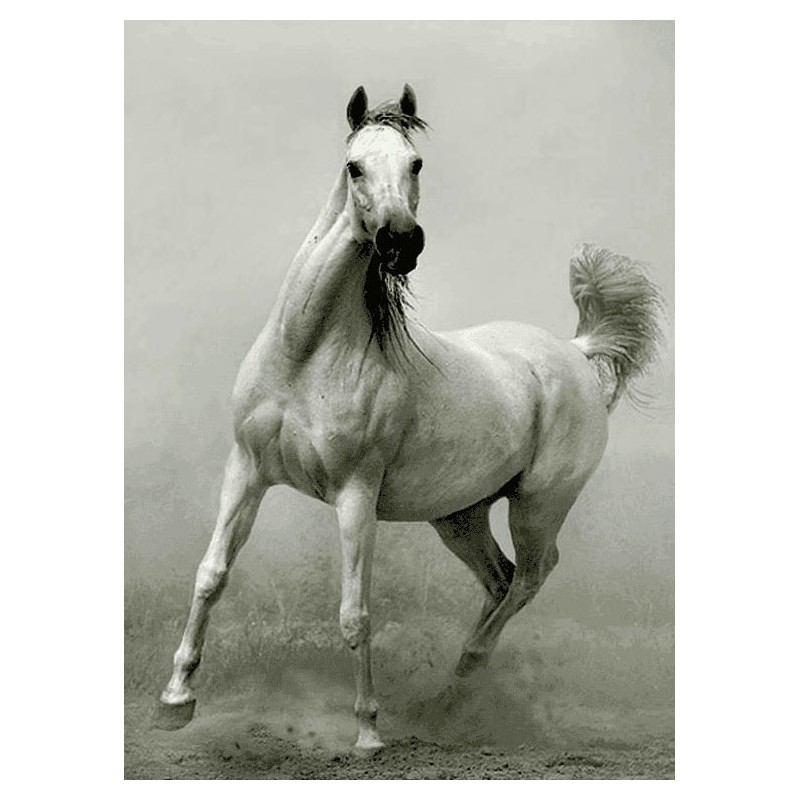 نخ و نقشه تابلو فرش حیوانات کد 37