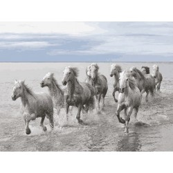 نخ و نقشه تابلو فرش حیوانات کد 38