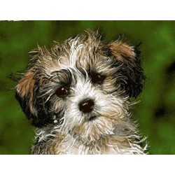 نخ و نقشه آموزشی تابلو فرش کد 42