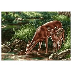 نخ و نقشه آموزشی تابلو فرش کد 43