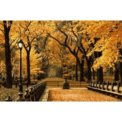 نخ و نقشه آموزشی تابلو فرش کد 46