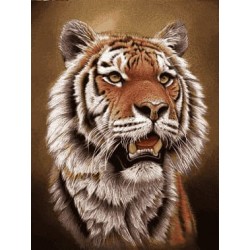 نخ و نقشه آموزشی تابلو فرش کد 48