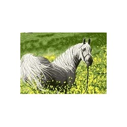 نخ و نقشه آموزشی تابلو فرش کد 32