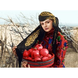 نخ و نقشه تابلو فرش ایرانی کد 107