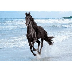 نخ و نقشه تابلو فرش حیوانات کد 41