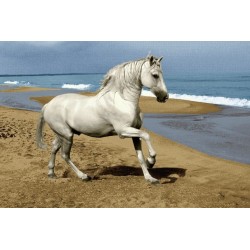 نخ و نقشه تابلو فرش حیوانات کد 42