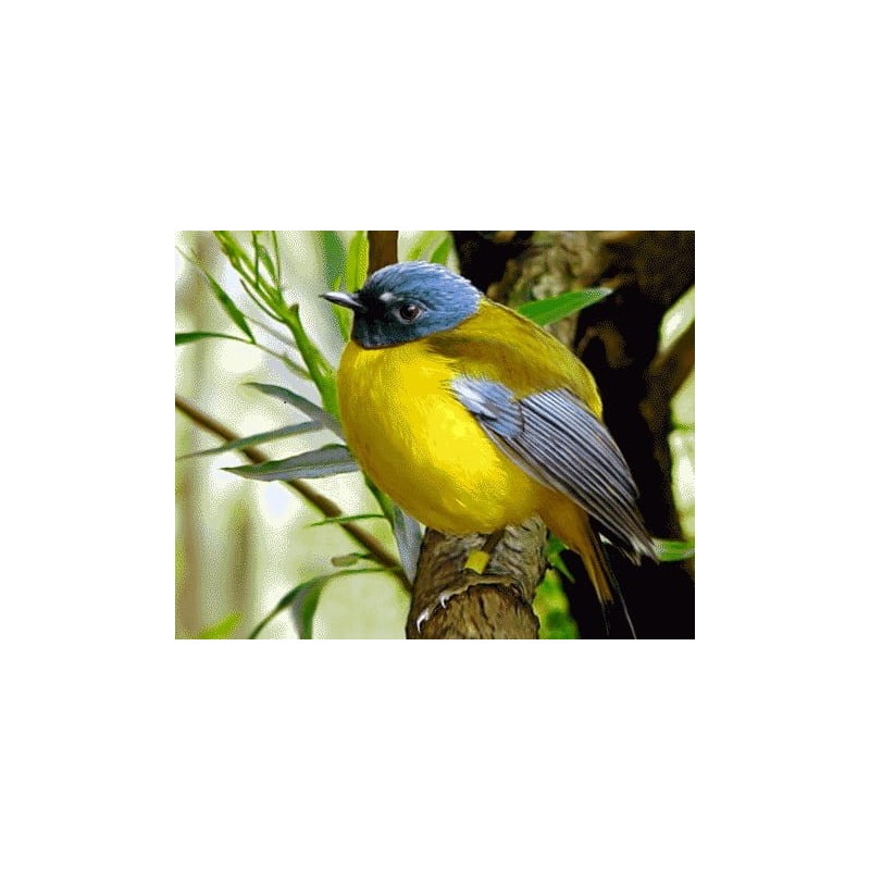 نخ و نقشه تابلو فرش حیوانات کد 44