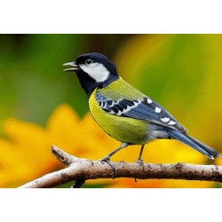 نخ و نقشه تابلو فرش حیوانات کد 45