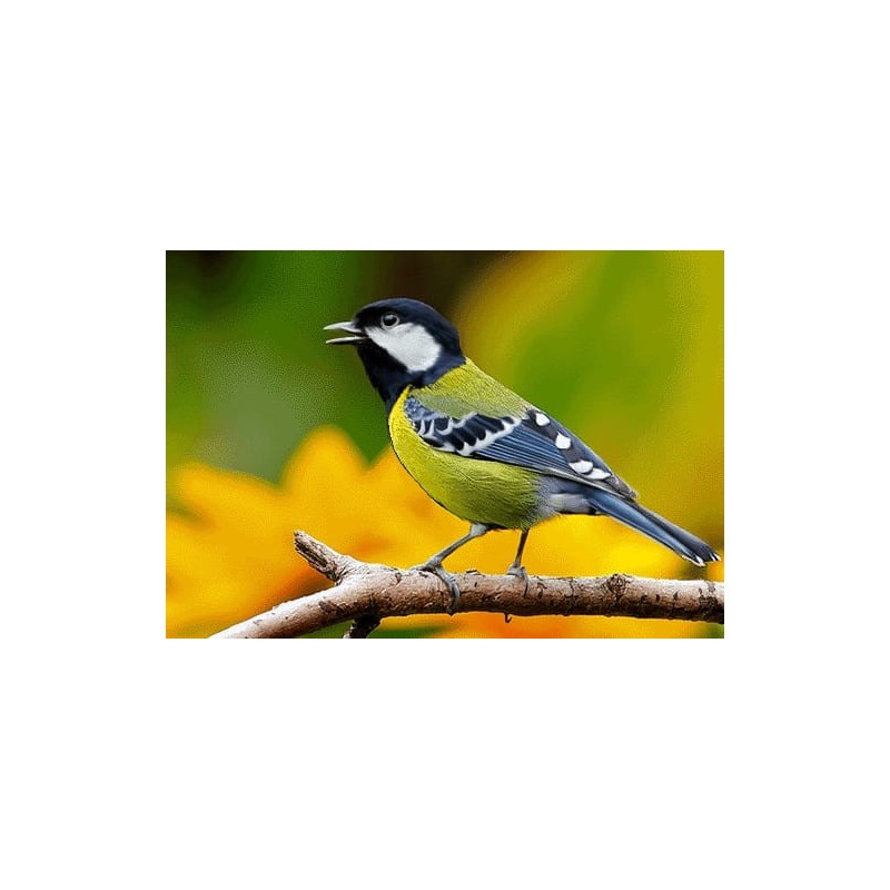 نخ و نقشه تابلو فرش حیوانات کد 45