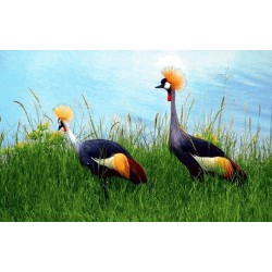 نخ و نقشه تابلو فرش حیوانات کد 48